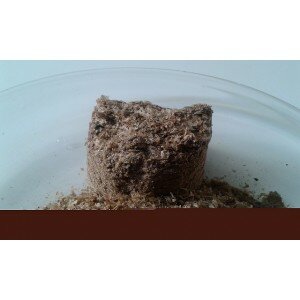 Sciure de café